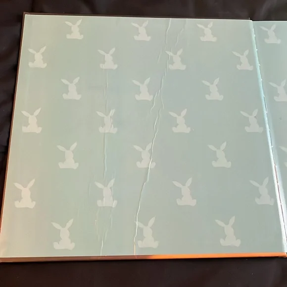 The Velveteen Rabbit - Picture 4 of 4